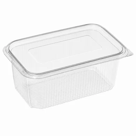 JUNGENGEL Einweg Frischhaltedosen 10er Set mit Deckel Meal Prep