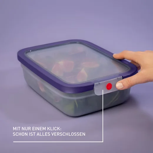 EMSA oneClick Frischhaltedose Vorratsdose