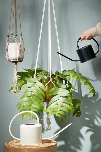 MICA DECORATIONS Gießkanne Ancho Eisen schwarz