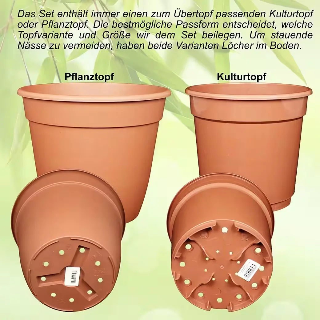 HEIMWERKERCENTER Übertopf Set Keramik Basel 10 cm vanilla 8 cm